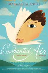 Enchanted Air