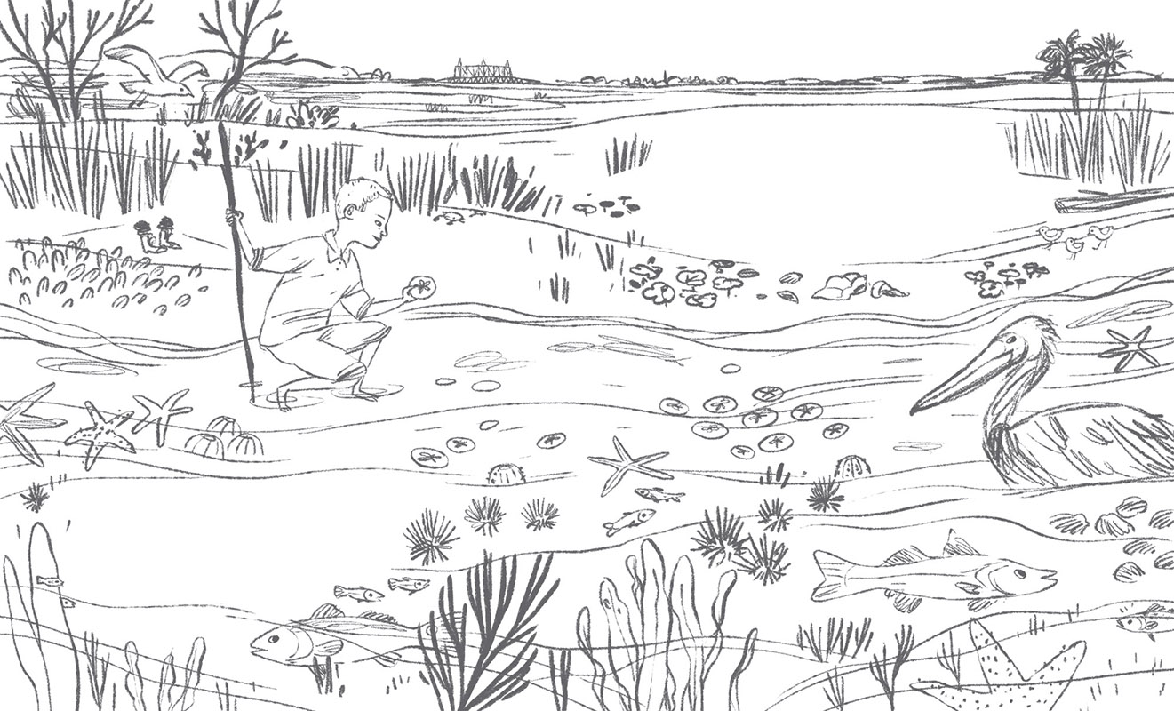 vwotwspread12-13_rough2[1]