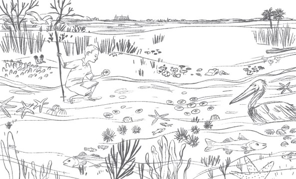 vwotwspread12-13_rough2[1]