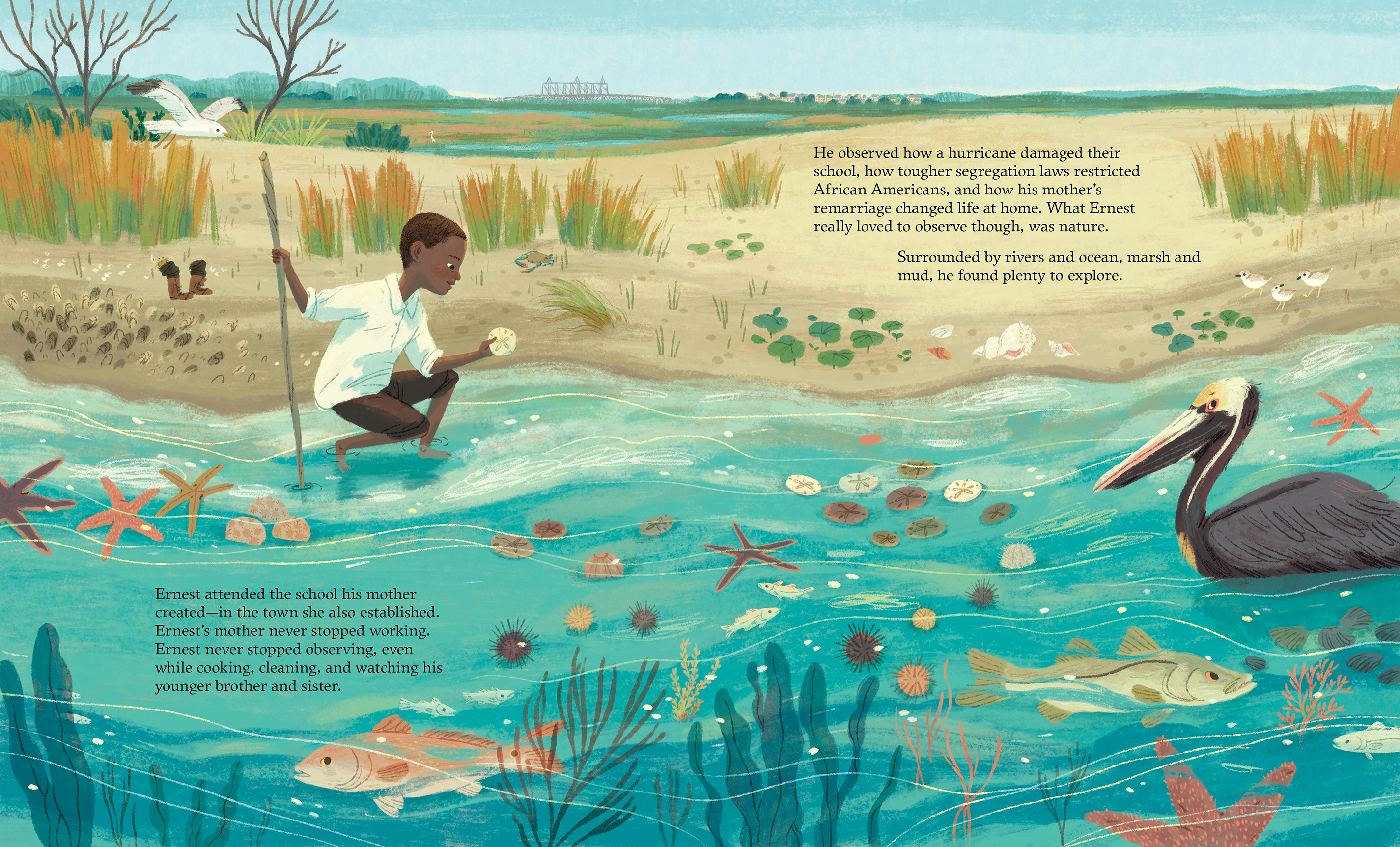 vwotwspread12-13color_flat[1]